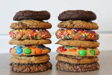 One-Dozen-Large_large.JPG
